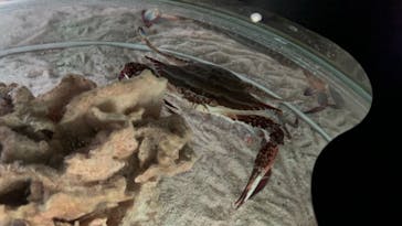 ゼロ距離水族館 伊勢シーパラダイスに投稿された画像（2023/5/4）