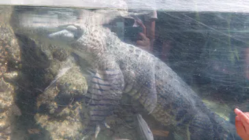 天王寺動物園に投稿された画像（2023/5/4）