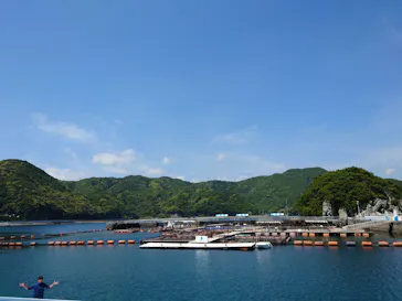 うみたま体験パーク 「つくみイルカ島」に投稿された画像（2023/5/4）