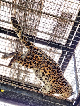 群馬サファリパークに投稿された画像（2023/5/4）