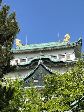 名古屋城に投稿された画像（2023/5/4）