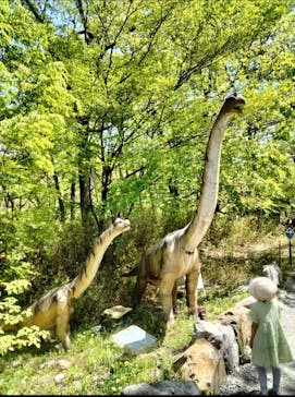 那須高原りんどう湖ファミリー牧場に投稿された画像（2023/5/4）