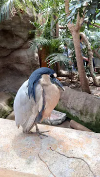 神戸どうぶつ王国に投稿された画像（2023/5/4）