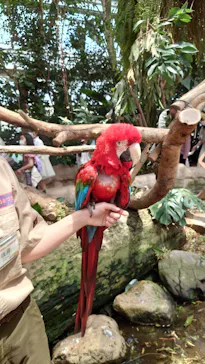 神戸どうぶつ王国に投稿された画像（2023/5/4）