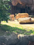 天王寺動物園に投稿された画像（2023/5/4）