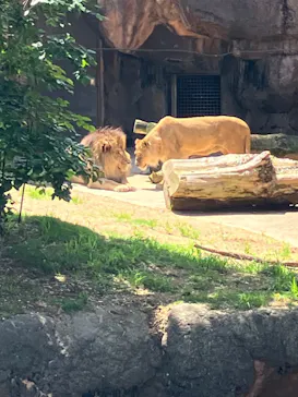 天王寺動物園に投稿された画像（2023/5/4）
