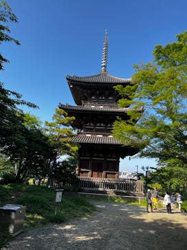 三溪園に投稿された画像（2023/5/4）