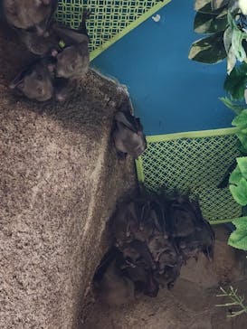 那須どうぶつ王国に投稿された画像（2023/5/4）