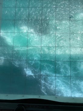 徳島県立 渦の道に投稿された画像（2023/5/4）