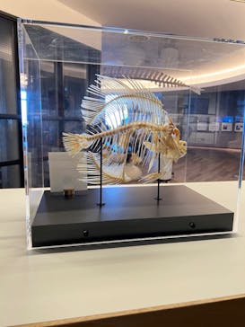 アクアワールド茨城県大洗水族館に投稿された画像（2023/5/4）