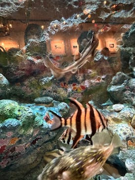 しながわ水族館に投稿された画像（2023/5/4）