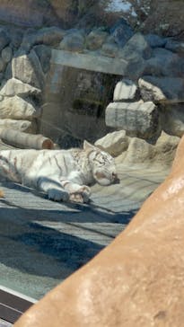 東武動物公園に投稿された画像（2023/5/4）