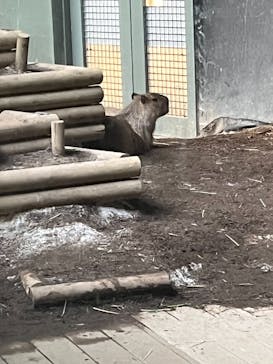 カワスイ 川崎⽔族館に投稿された画像（2023/5/4）