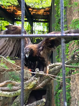 天王寺動物園に投稿された画像（2023/5/4）