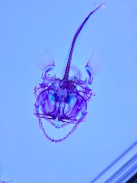 上越市立水族博物館 うみがたりに投稿された画像（2023/5/4）