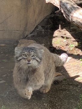 那須どうぶつ王国に投稿された画像（2023/5/4）