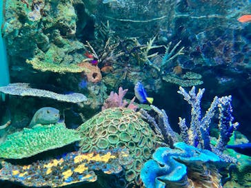 サンシャイン水族館に投稿された画像（2023/5/4）