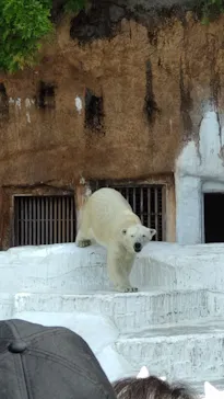 天王寺動物園に投稿された画像（2023/5/4）