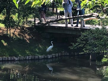 三溪園に投稿された画像（2023/5/4）