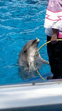 大分マリーンパレス水族館 「うみたまご」に投稿された画像（2023/5/4）