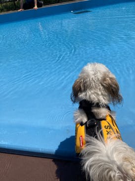 わんダフルネイチャーヴィレッジに投稿された画像（2023/5/4）