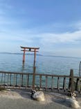 颯浮〜BIWAKO SUP TRIP〜に投稿された画像（2023/5/4）
