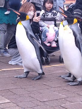 登別マリンパークニクスに投稿された画像（2023/5/4）