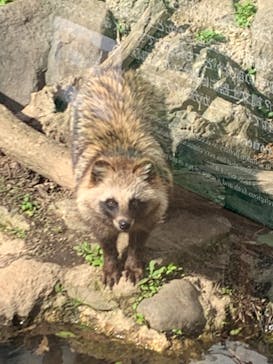 環境水族館アクアマリンふくしまに投稿された画像（2023/5/4）