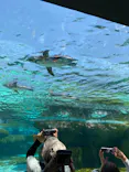 天王寺動物園に投稿された画像（2023/5/4）