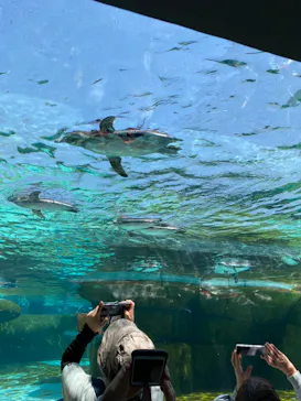 天王寺動物園に投稿された画像（2023/5/4）