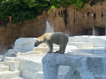 天王寺動物園に投稿された画像（2023/5/4）
