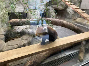 天王寺動物園に投稿された画像（2023/5/4）