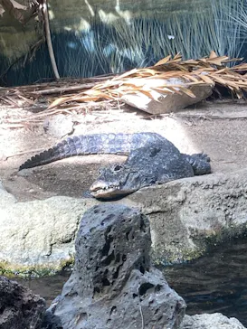 天王寺動物園に投稿された画像（2023/5/4）