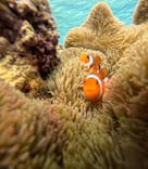 宮古島 ADVENTURE PiPi（ミヤコジマ アドベンチャー ピピ）に投稿された画像（2023/5/4）