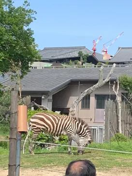 天王寺動物園に投稿された画像（2023/5/4）