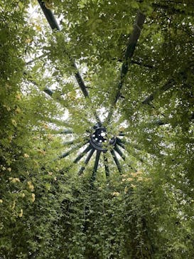 花の駅せらに投稿された画像（2023/5/4）