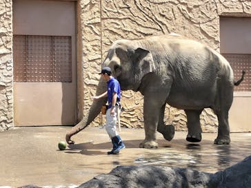 日立市かみね動物園に投稿された画像（2023/5/4）