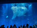 アクアワールド茨城県大洗水族館に投稿された画像（2023/5/4）