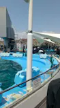 名古屋港水族館に投稿された画像（2023/5/4）