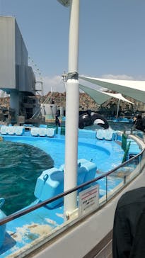 名古屋港水族館に投稿された画像（2023/5/4）