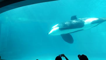 名古屋港水族館に投稿された画像（2023/5/4）
