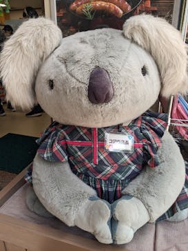 淡路ファームパーク イングランドの丘に投稿された画像（2023/5/4）