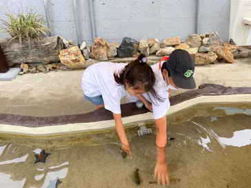 うみたま体験パーク 「つくみイルカ島」に投稿された画像（2023/5/4）