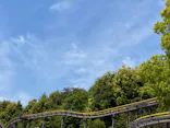 日本モンキーパークに投稿された画像（2023/5/4）