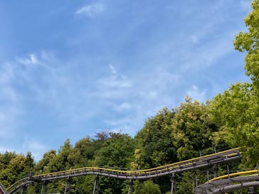 日本モンキーパークに投稿された画像（2023/5/4）