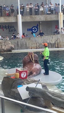 城崎マリンワールドに投稿された画像（2023/5/4）