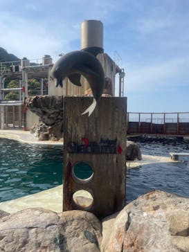 城崎マリンワールドに投稿された画像（2023/5/4）