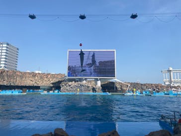 名古屋港水族館に投稿された画像（2023/5/4）