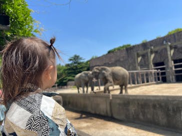 東武動物公園に投稿された画像（2023/5/4）