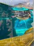 天王寺動物園に投稿された画像（2023/5/4）